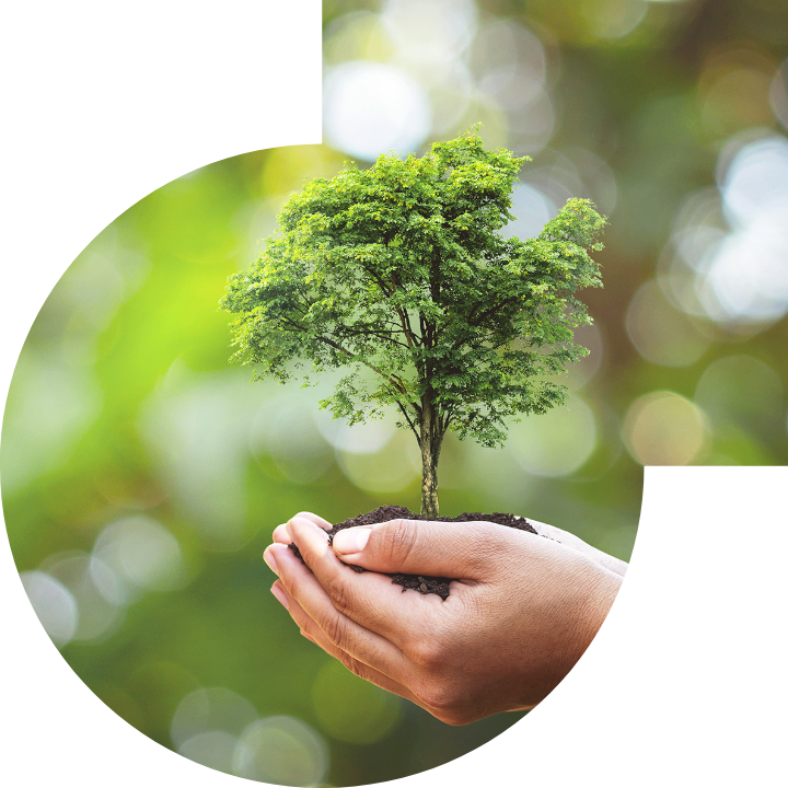 关怀人类、文化、环境与社会